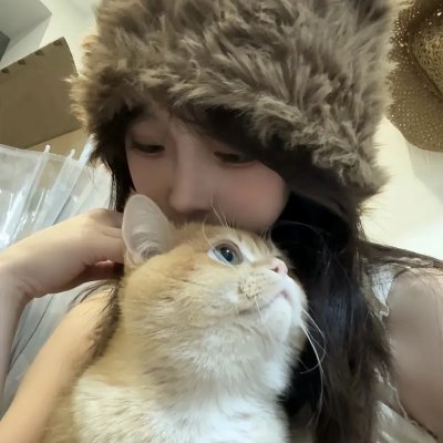 新手